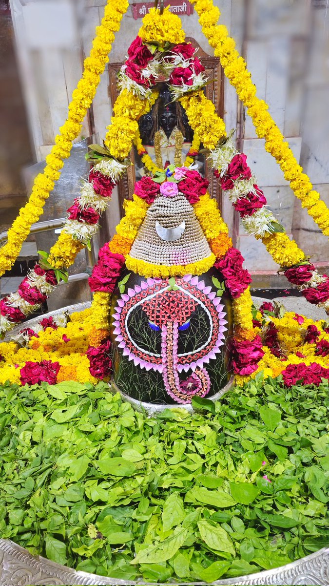 हर हर महादेव 🌺🌺 
शुभ रात्रि 🙏