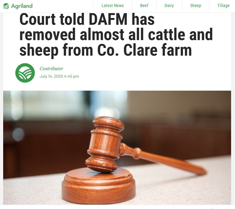 ethicalfarmIE's tweet image. This happens time and time again. There are several visits by a DAFM inspector before animals are finally seized, the farmer claims mental health issues (not saying it's not genuine) and is allowed to continue farming. Cases of this nature should result in prosections and…
