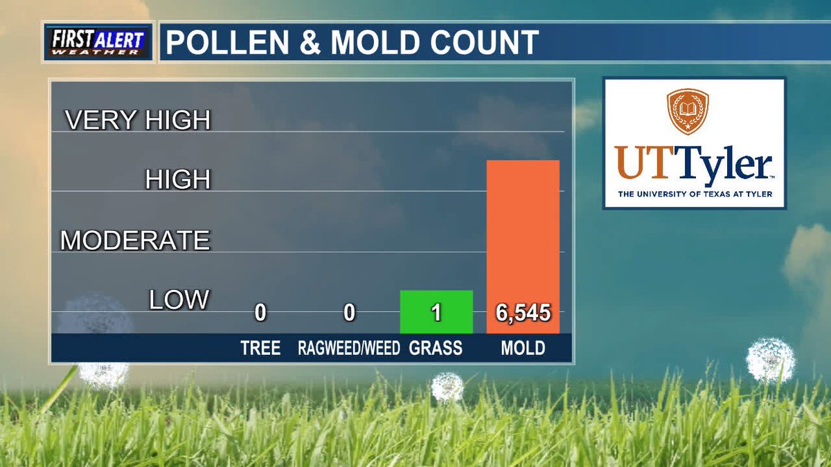 Here is your Pollen/Mold Count from UT Tyler and KLTV for Monday, July 14. #pollen