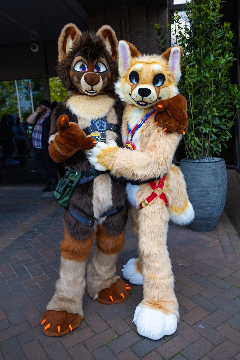 Cerri (@cerrifox) on Twitter photo POV: A couple picking out a twink to take home & adopt at the local shelter
🐻 <a href="/Atatatlas/">Atlas Beardog</a>
📸 <a href="/ADedranWolf/">Mane character 🔜 BFF, FBL</a> POV: A couple picking out a twink to take home & adopt at the local shelter
🐻 <a href="/Atatatlas/">Atlas Beardog</a>
📸 <a href="/ADedranWolf/">Mane character 🔜 BFF, FBL</a>