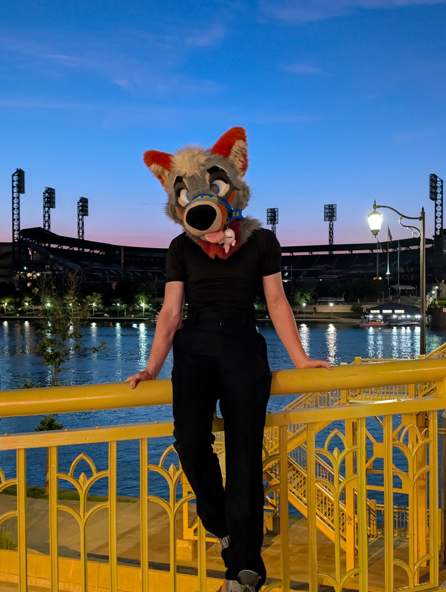 PartDoggo's tweet image. Perks of being a city dog
