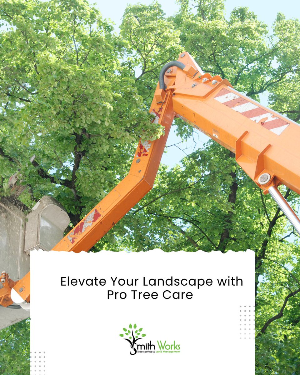 SmithWorksTree's tweet image. A well-cared-for tree can transform your property 🌟 From picture-perfect curb appeal to natural cooling during hot months, professional tree care is your long-term landscaping power move.

🔍 Start your transformation here:
 smithworkstreeservicenashvilletn.com