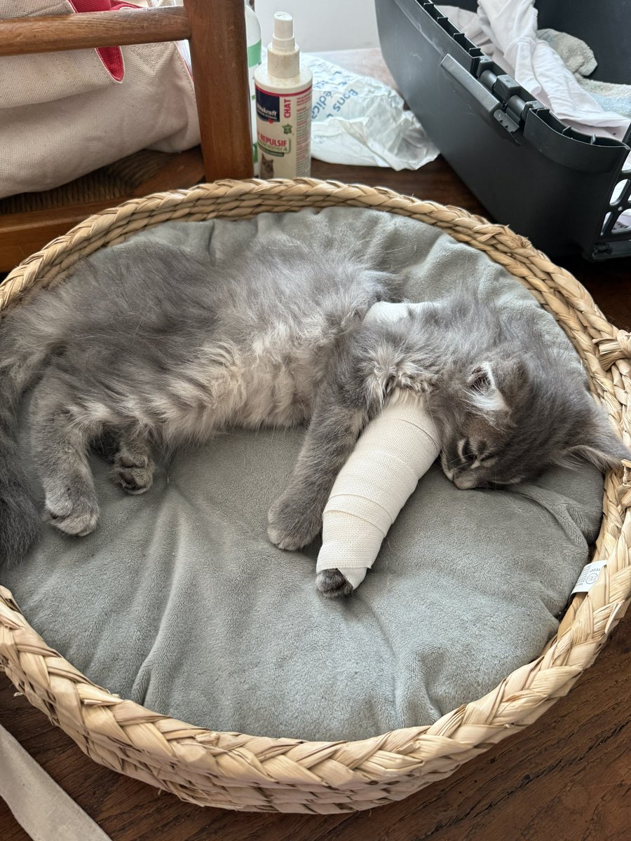 mon petit guerrier ❤️‍🩹