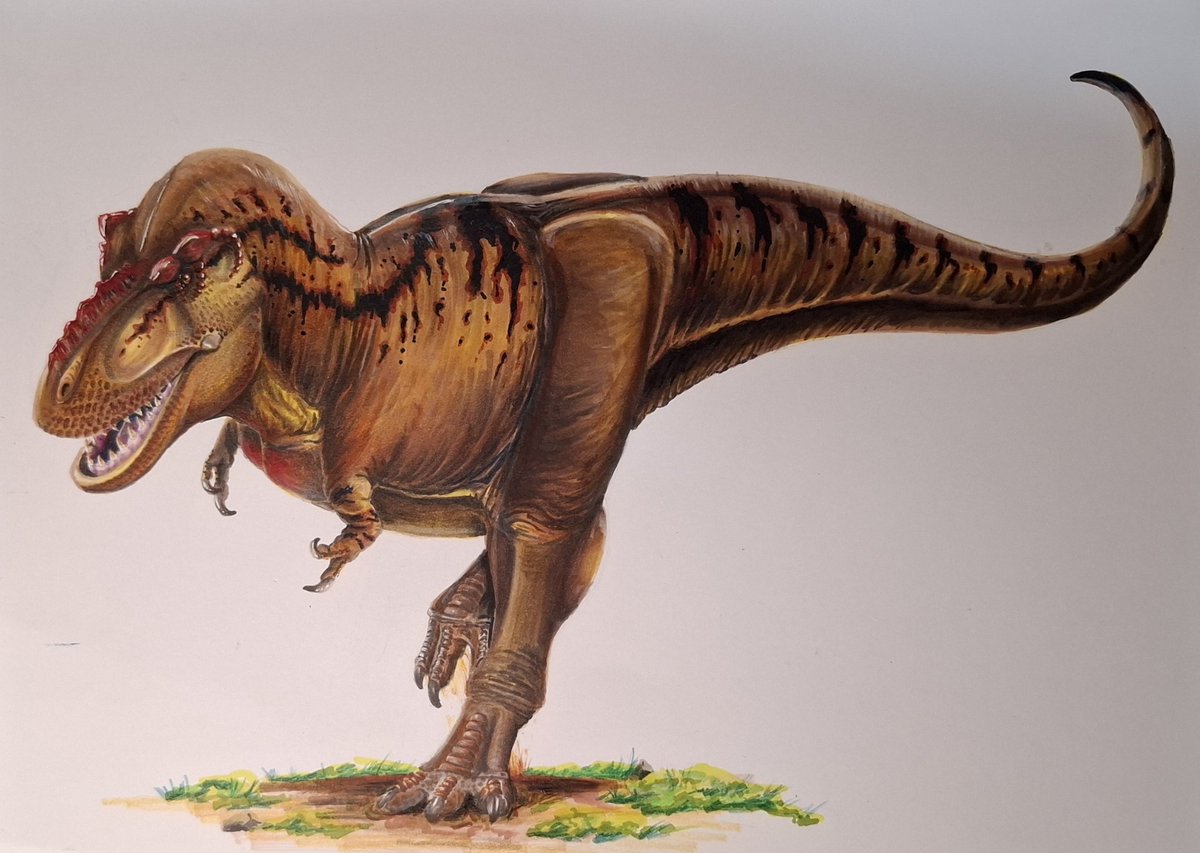 Tyrannosaurus rex 
#tyrannosaurus #paleoart