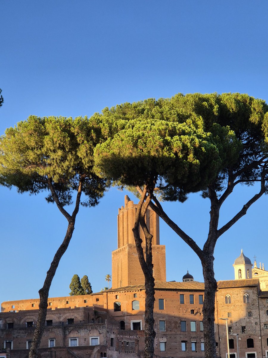 Cose che amo in Blu Perpetuum.