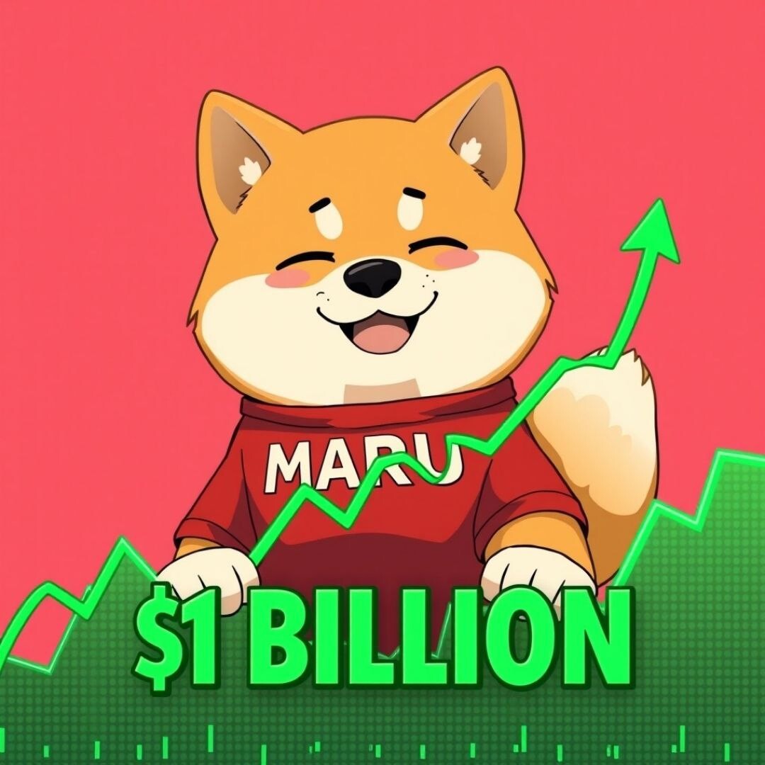 radom_roro tweet media