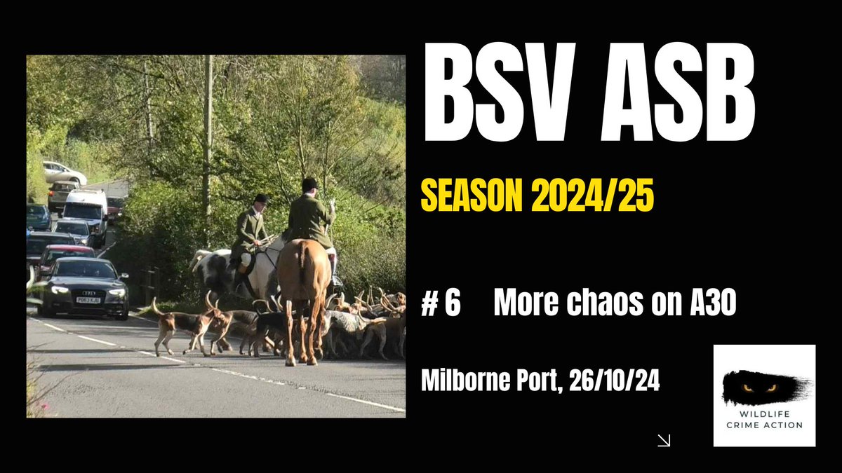 We are already up to number 6 in our long list of anti-social behaviour by the BSV in the 2024/2025 season...and we have only now got to the opening meet.

Yet again, it's more road chaos, this time on the notoriously dangerous section of the A30 between Henstridge and Sherborne.