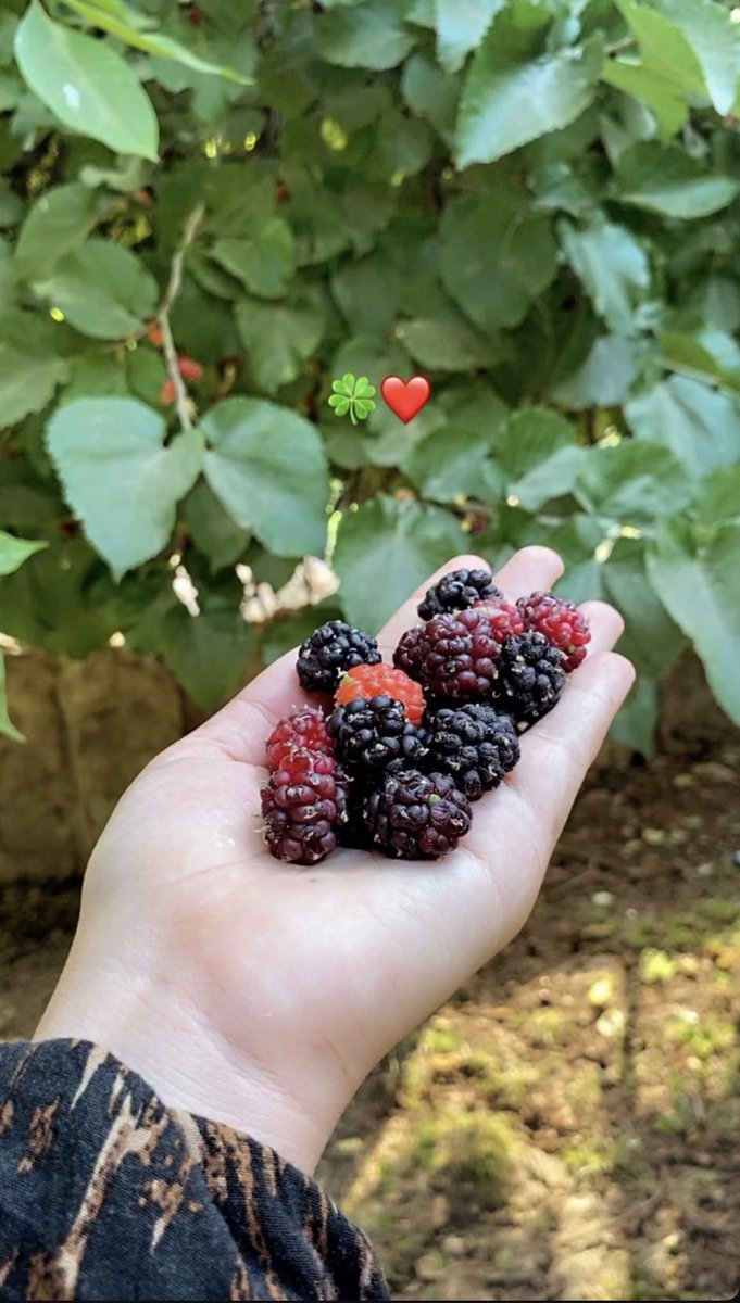 Kürkçü dükkanına geri döndüm :)
Benim güzel memleketim 🤍
Hayırlı akşamlar 🥀