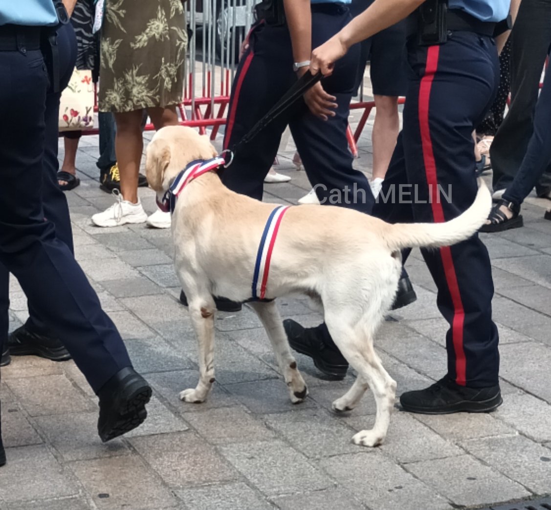 CathMelin's tweet photo. 🇨🇵 Défilé du #14Juillet à #Beauvais, ce matin.
Merci à toutes les forces de secours et sécurité pour leur dévouement 👍 https://t.co/elfiMDLTsk