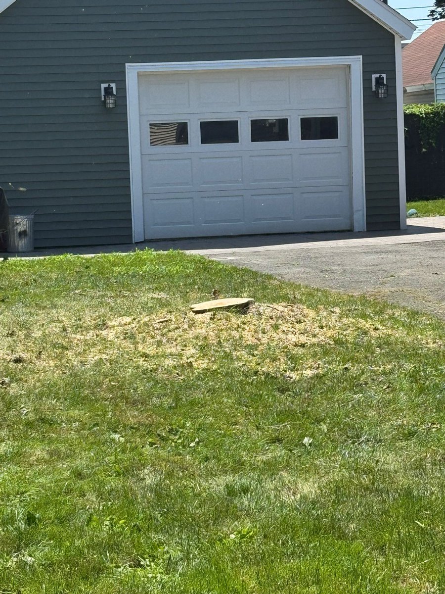 kdtreealbanyny's tweet image. Look at the difference! 🌳➡🌞
Another tree removed, another happy homeowner with more room to enjoy.
KD Tree Service takes care of the heavy lifting so you can relax.
Book your yard upgrade now!
#KDTreeService #CurbAppeal #TreeExperts #TreeCutting #ProfessionalTreeServic