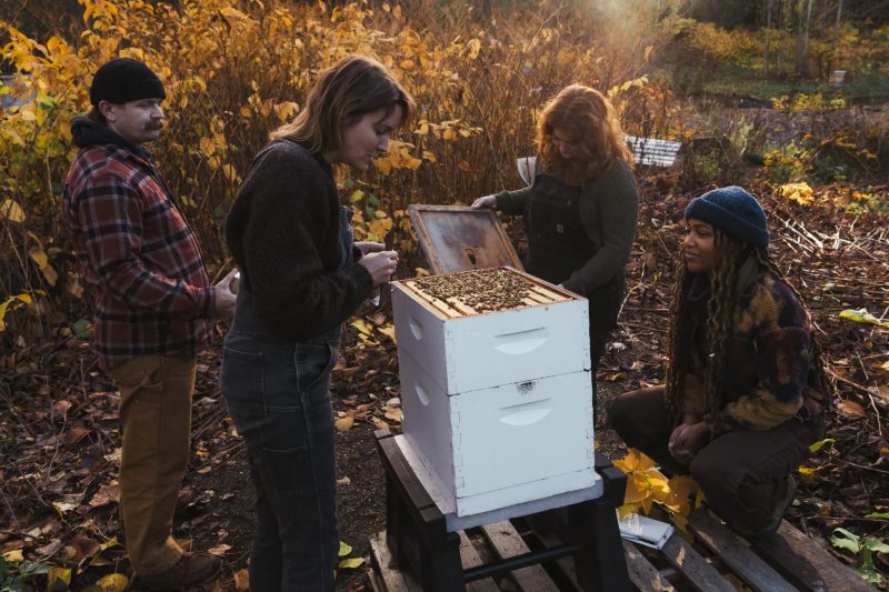 EcoCelebration's tweet image. Nestled within the cemetery’s 100 acres of green space, 75,000 honeybees now thrive as part of a collaboration that reimagines how we honor life, loss, and the land we share. tinyurl.com/bdfa7z7r #cemeteries #greenspaces #apiaries #urbanecosystems