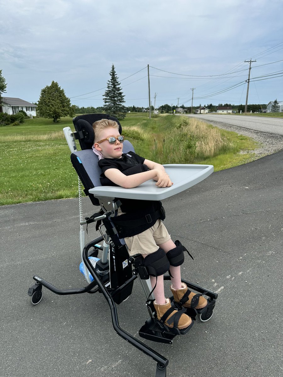 Bigdazw's tweet image. Chester’s stander is not really suited for rough surfaces however we live across the road from the school & I managed to use their carpark & driveway to take him for a little walk. He can’t see much but he loved the wind & sound of tractors going past. #MightyChester