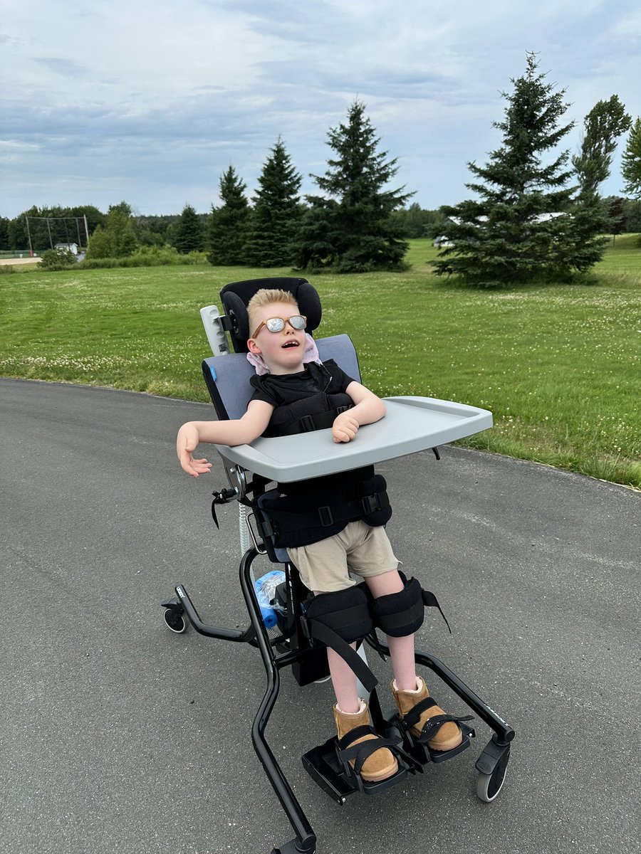 Bigdazw's tweet image. Chester’s stander is not really suited for rough surfaces however we live across the road from the school & I managed to use their carpark & driveway to take him for a little walk. He can’t see much but he loved the wind & sound of tractors going past. #MightyChester