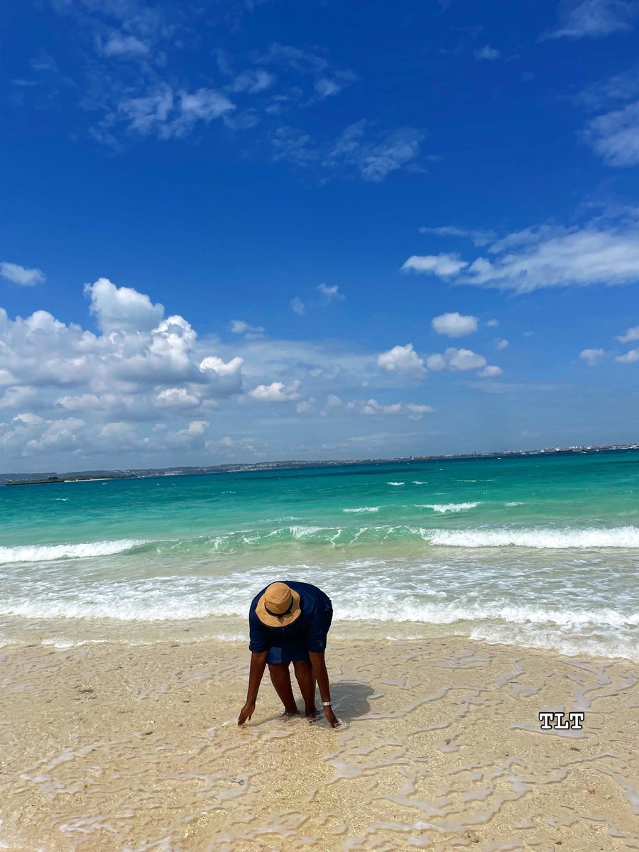 🌍 Bienvenue à Zanzibar avec Tanganyika Links Tours ! 🏝️
📍 Prison Island – Un joyau caché à quelques minutes de Stone Town.
✨ Que vous rêviez d’évasion ou d’aventure, <a href="/tanganyikalinks/">tanganyikalinkstours</a> vous accompagne pour un voyage inoubliable à Zanzibar.
#Zanzibar #PrisonIsland #visitzanzibar
