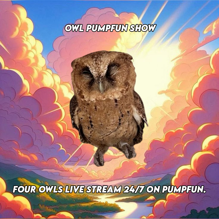pumpowl's tweet photo. Other coins: whitepapers, roadmaps

$PUMPOWL: hoot hoot, snack, stare
We’re different https://t.co/gyjYSfRBd2