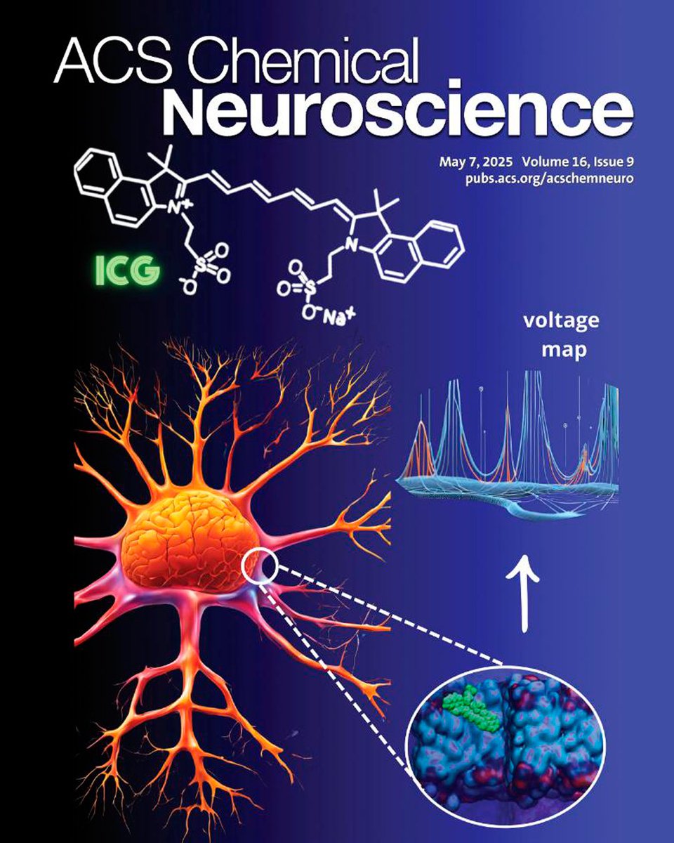 🔵Estudian una molécula con potencial para mejorar métodos de diagnóstico por imágenes

El trabajo fue portada de la revista ACS Chemical Neuroscience.

Nota 👉mendoza.conicet.gov.ar/estudian-una-m…