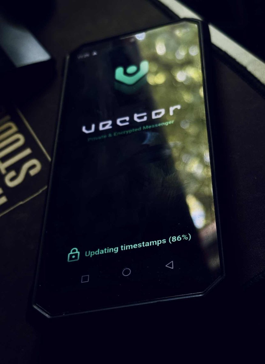 ://VectorBeta.exe

Installing...
█████████▒░