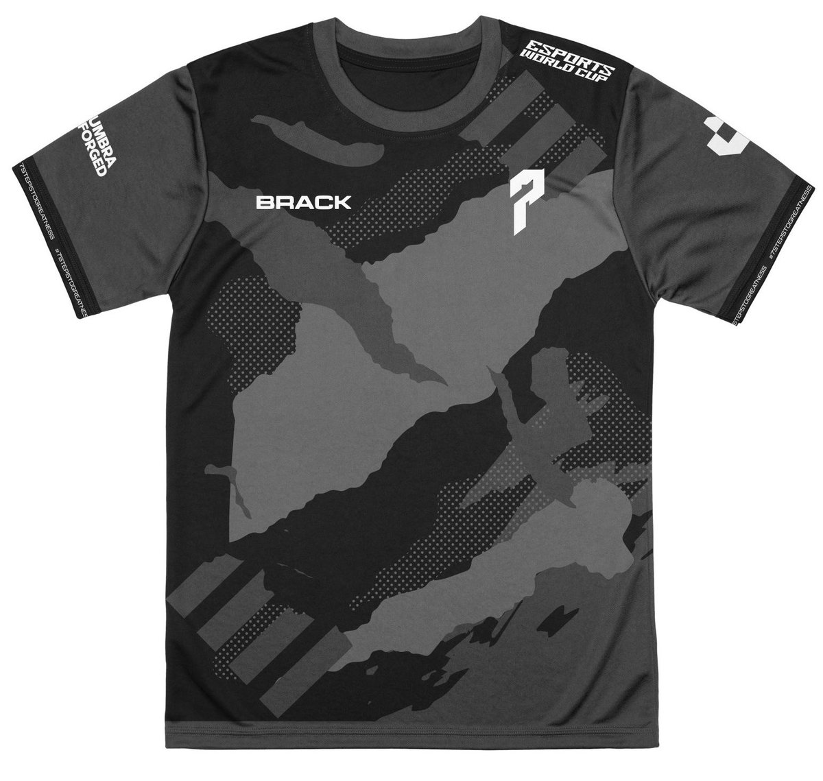 Project 7 tweet media