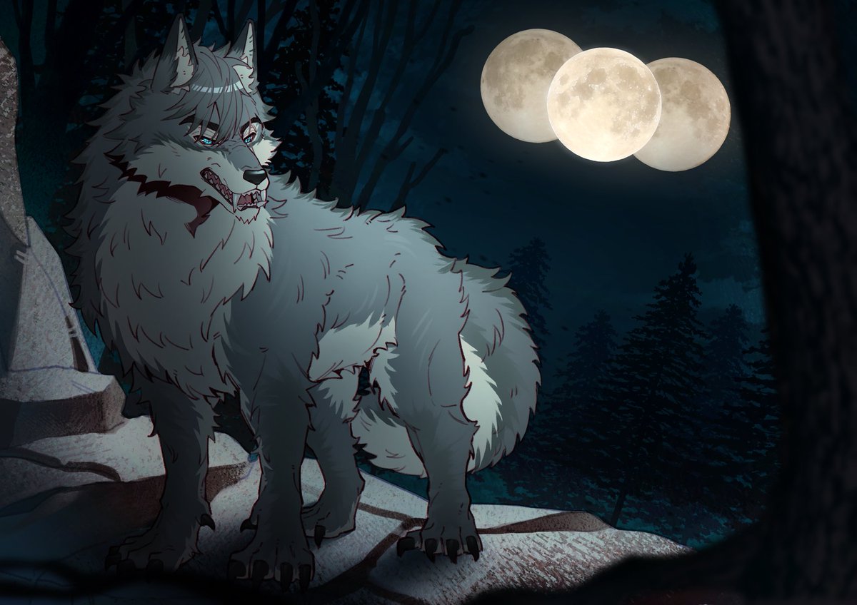 กลางดึก | ในป่าแถวโรงเรียน | แยกรูท

ในค่ำคืนที่ดวงจันทร์เต็มดวงถึงสามดวงทอแสงสีเงินเหนือยอดไม้มันควรเป็นเวลาที่หมาป่าทั้งหลายสูญเสียการควบคุมแต่ไม่ใช่กับเขา

ในขณะที่หมาป่าตนอื่นเปลี่ยนร่างเป็นสองขาและคำรามอย่างไร้เหตุผลเขากลับยังมีสติครบถ้วน…