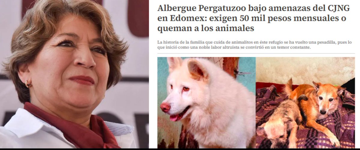 Ana (@anaro74) on Twitter photo Lo que faltaba en esta desgracia de país, están extorsionando al refugio
<a href="/alberguepergatu/">Albergue Pergatuzoo</a>
"Albergue Pergatuzoo bajo amenazas del CJNG en Edomex: exigen 50 mil pesos mensuales o queman a los animales"
No tienen madre, en serio!
¿Piensan hacer algo gobernadora?
<a href="/delfinagomeza/">Delfina Gómez A.</a> Lo que faltaba en esta desgracia de país, están extorsionando al refugio
<a href="/alberguepergatu/">Albergue Pergatuzoo</a>
"Albergue Pergatuzoo bajo amenazas del CJNG en Edomex: exigen 50 mil pesos mensuales o queman a los animales"
No tienen madre, en serio!
¿Piensan hacer algo gobernadora?
<a href="/delfinagomeza/">Delfina Gómez A.</a>