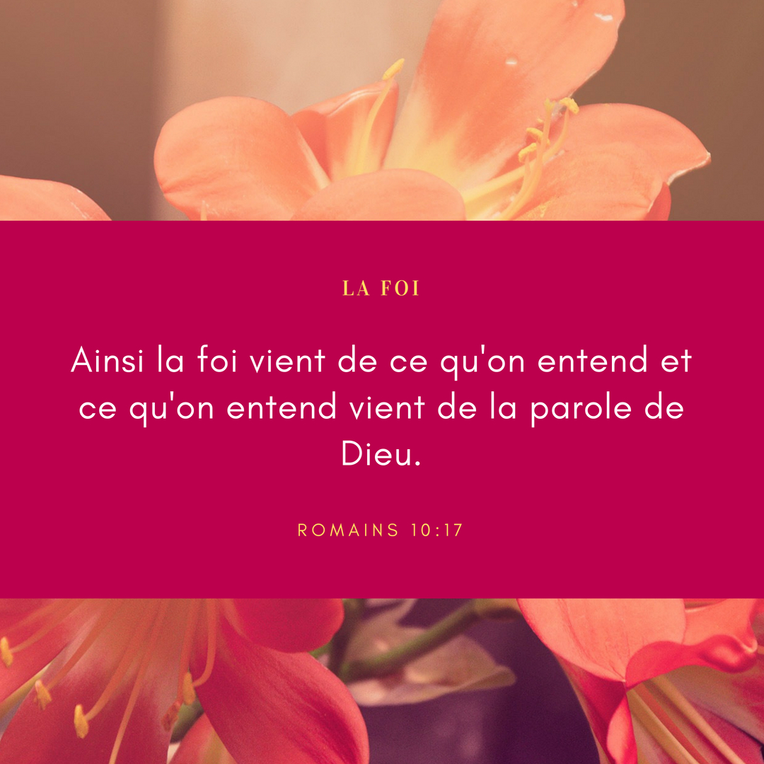 Ainsi la foi vient de ce qu'on entend et ce qu'on entend vient de la parole de Dieu.
Romains 10:17