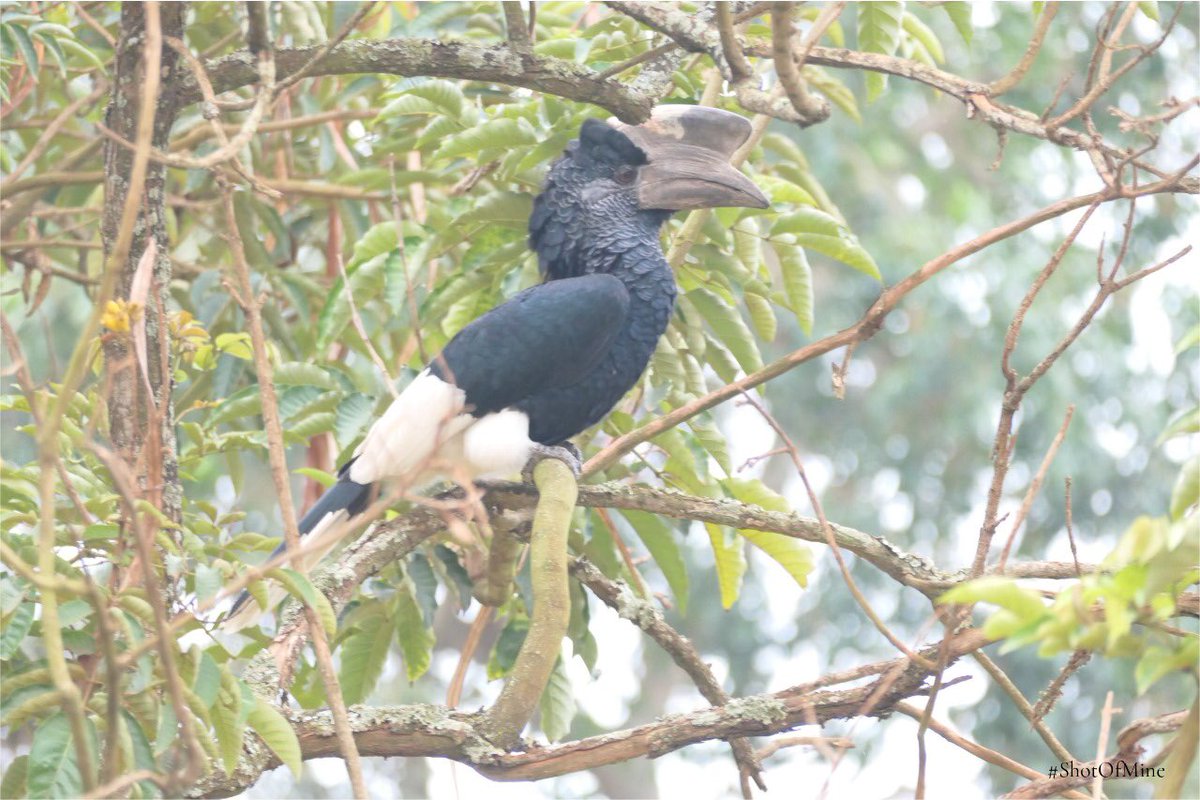 A #ShotOfMine before the storm on PSG.