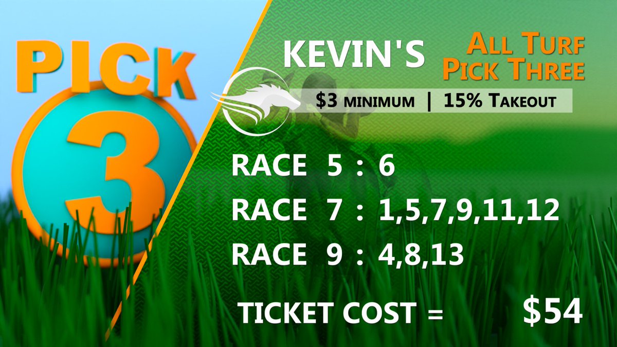 TrustYourLuck's tweet image. Big fields in today's turf action @EllisParkRacing. In the All Turf P3 I've got a chalk single in the first leg, bombs to beat the faves in the second leg, and 3 logicals in the finale. Let's get it!
