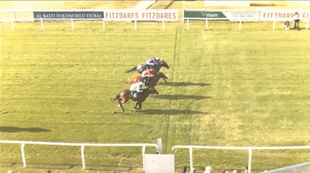 the racing newsletter tweet media