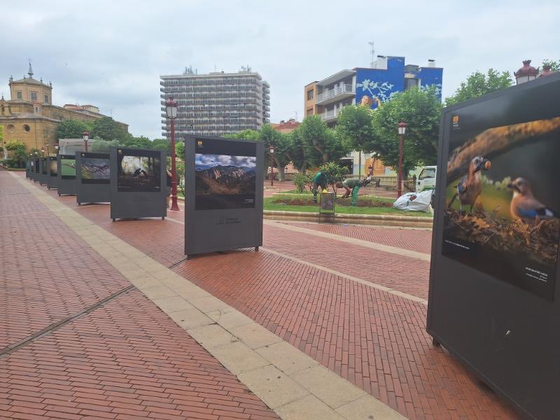📸 Haro acoge la exposición itinerante del XVIII concurso de fotografía ‘Naturaleza de La Rioja’ hasta el próximo 11 de agosto.

🖇️ actualidad.larioja.org/noticia?n=not-…