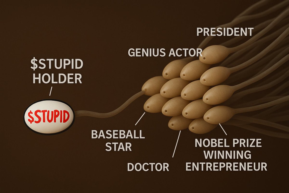 $STUPID = ALPHA 🏆