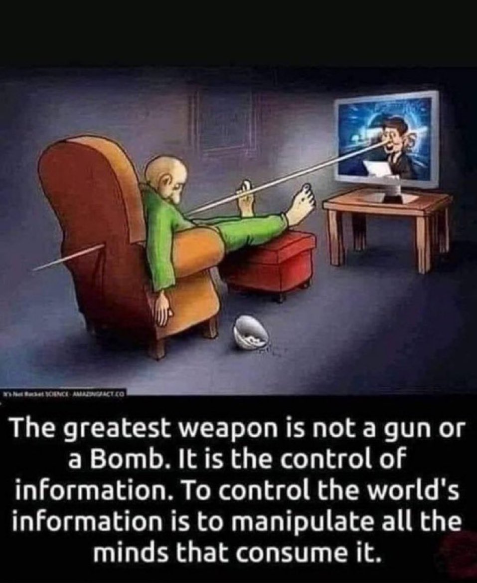 🎯