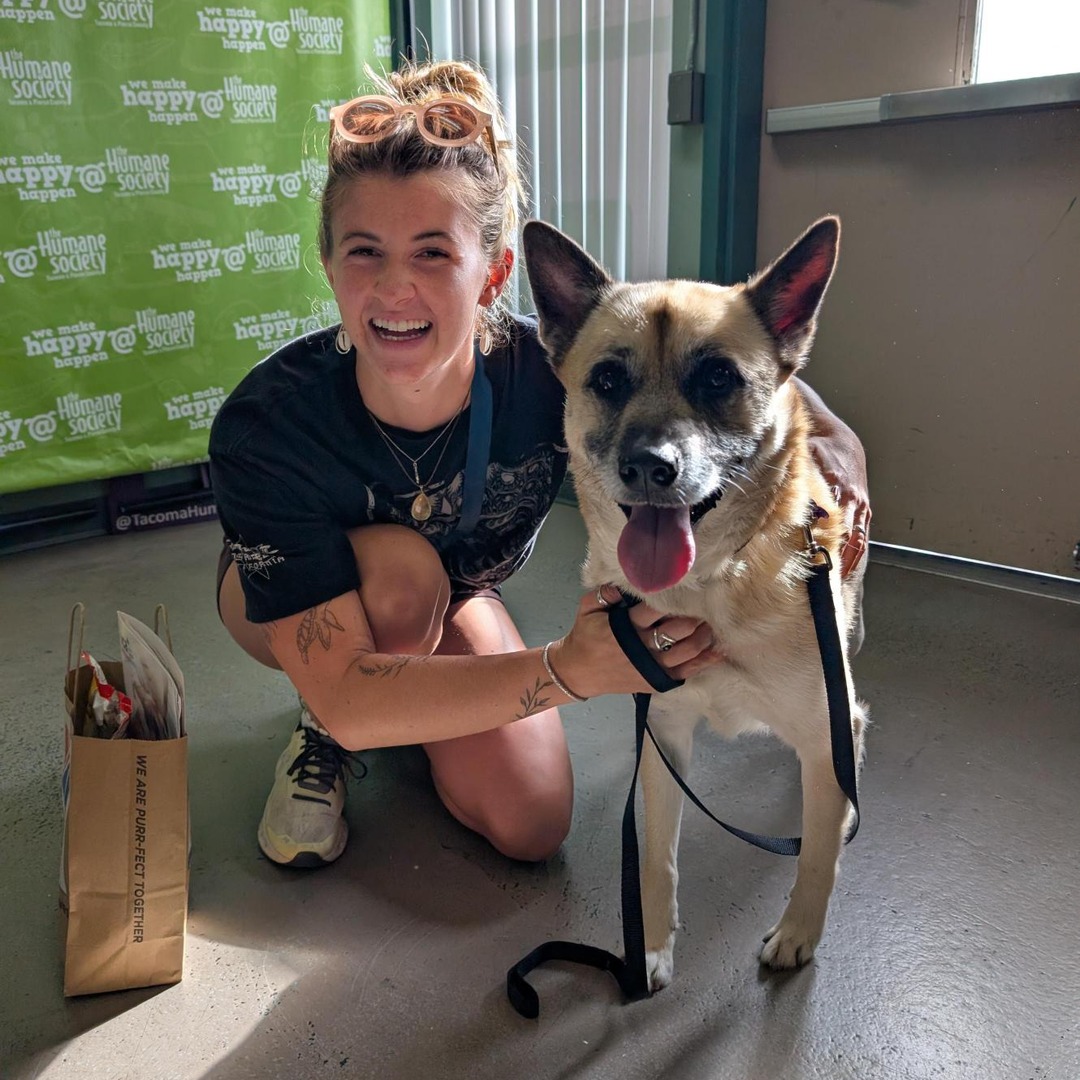 🐾💚 Adoption Numbers from Last Week! 💚🐾

Over the past week, 133 dogs, cats, and critters found amazing homes—including Little Woo!🎉🐶🐱🐰 

Congrats to all the pets and their new families!

Check out all our adoptable pets on our website: thehumanesociety.org/adopt