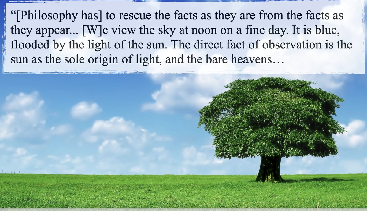 Philosophy has to rescue the facts as they are from the facts as they appear...