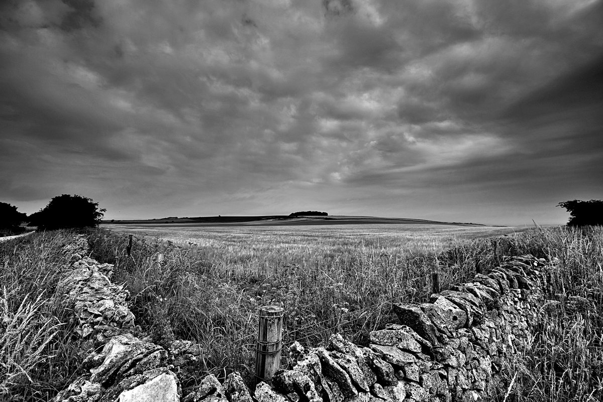 A field of Barley just off the Pennine Bridleway in the #PeakDistrict early this morning.
#blackandwhitephotography #landscapephotography #photograghy