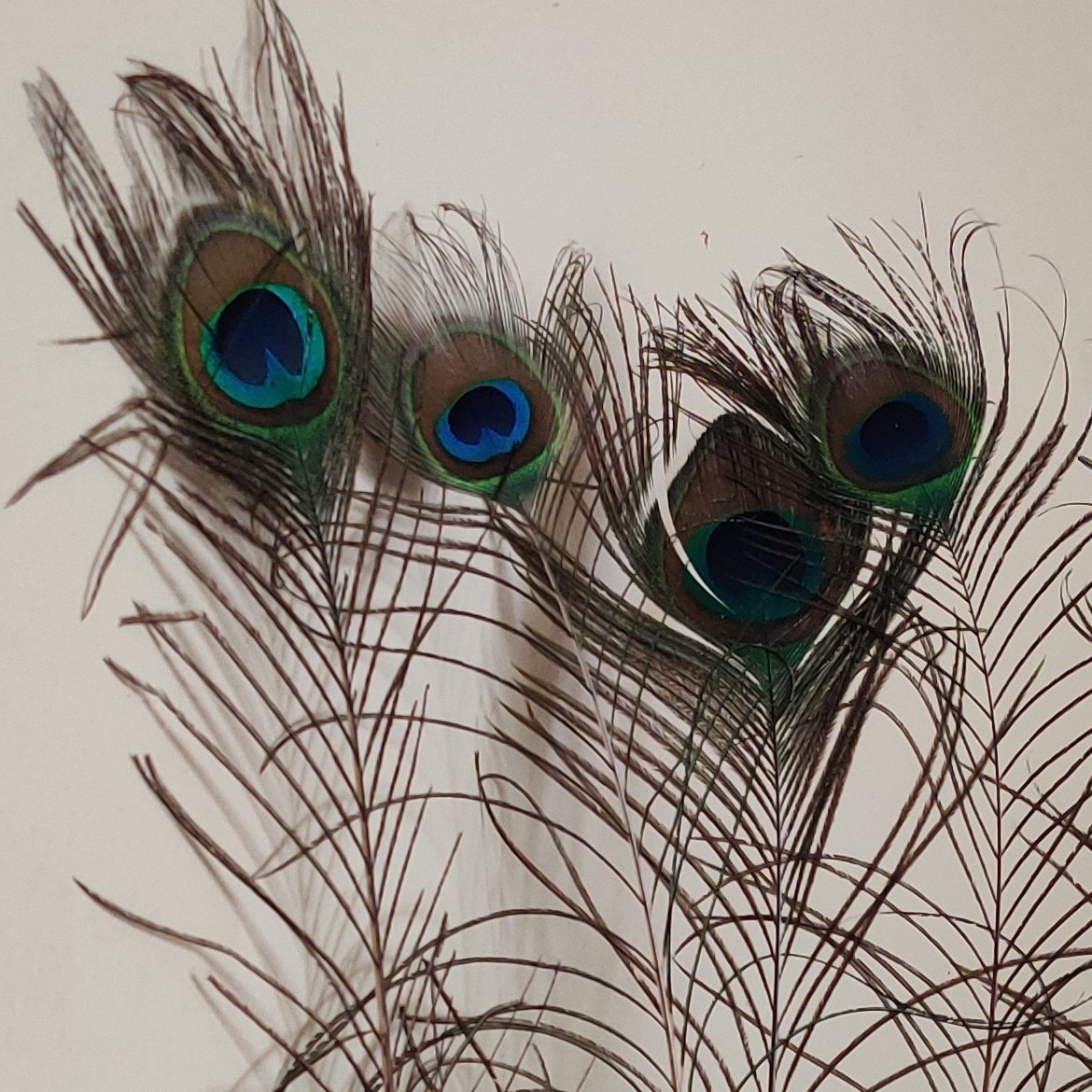 Blue and Green