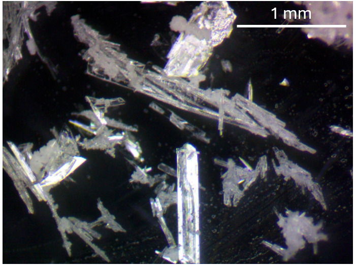 illinoismatse's tweet image. Associate Professor Daniel Shoemaker's laboratory team has collaborated with @IllinoisQuantum researchers to develop a novel europium crystal with promising properties for quantum memory applications.
iquist.illinois.edu/news/76360