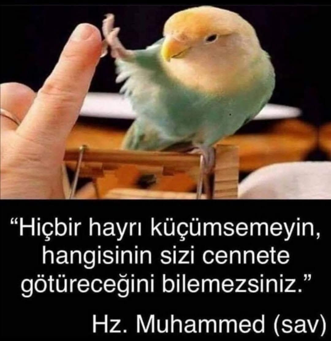 Göktuğ un dedesi (@beyniyazi) on Twitter photo 