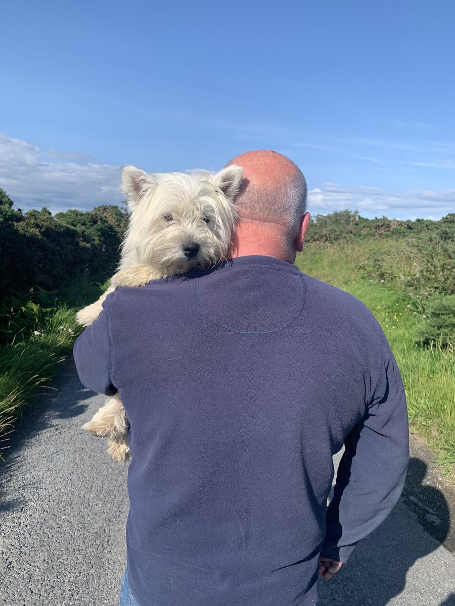 Nice evening for a dog-carry!
#weather #visual 
#Heather #nonvisual
#dogs5operational4
😁👍🐶🐶🐶🐶🐶🩼
