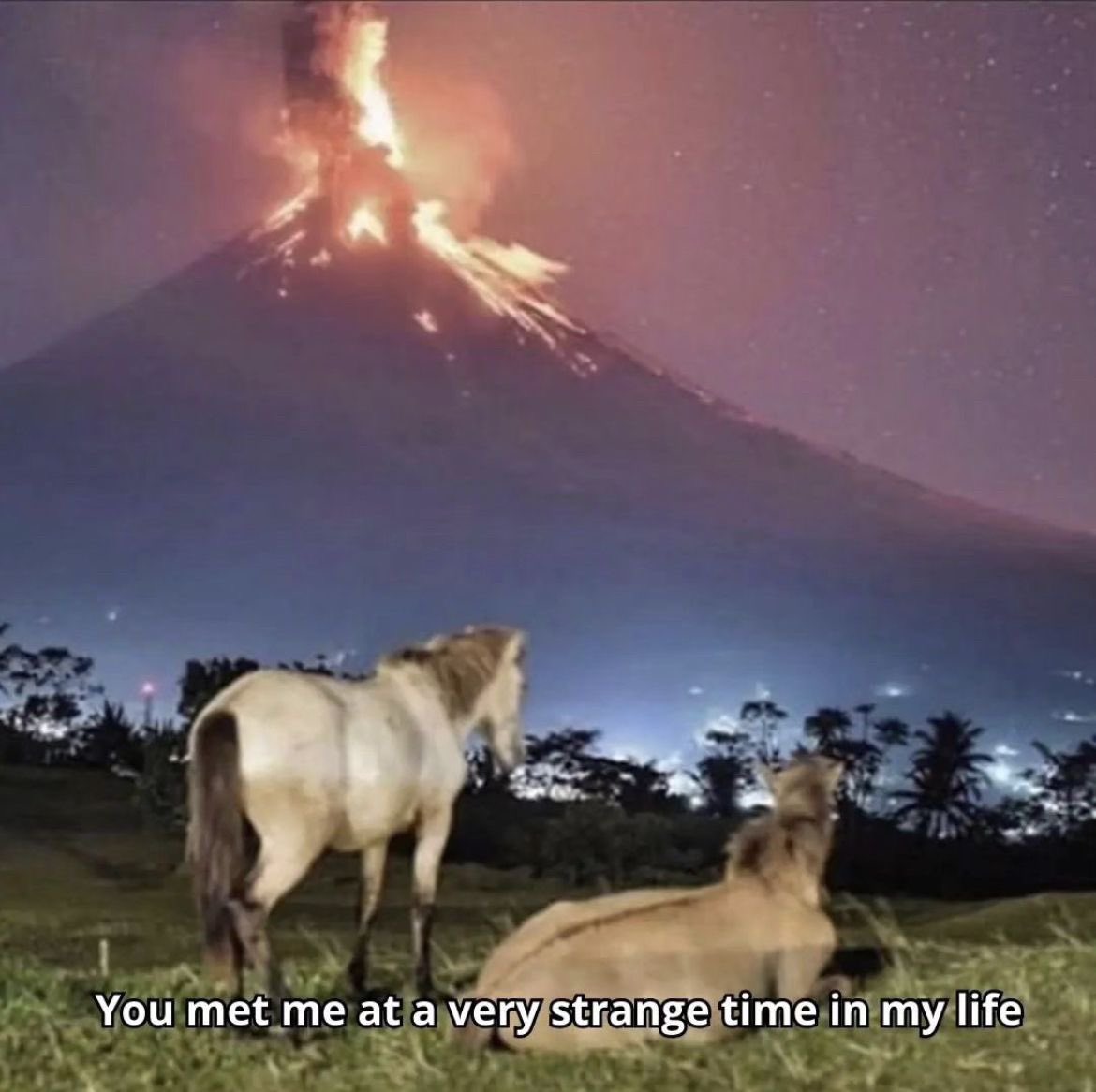 Me & Who? (@tagyourwho) on Twitter photo 