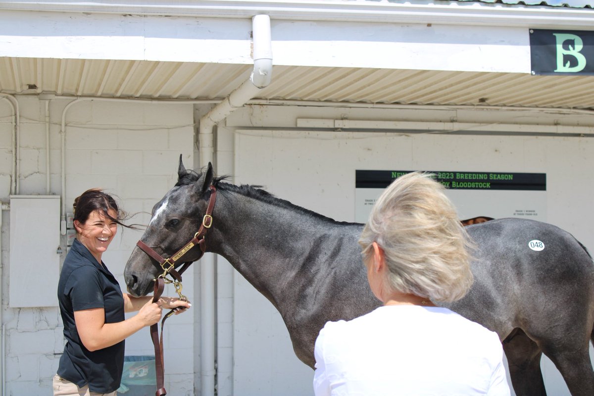 Ballycroy Bloodstock tweet media