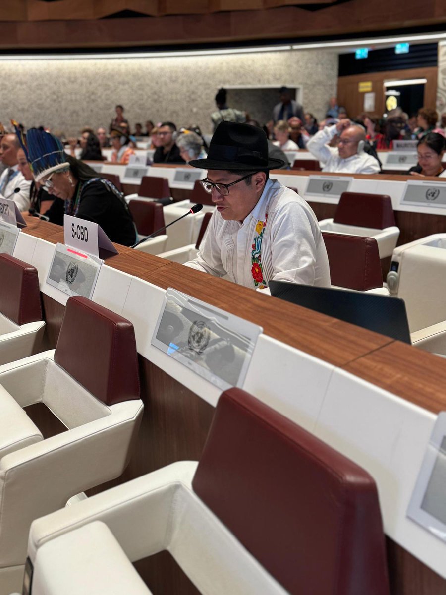 UN Biodiversity (@unbiodiversity) on Twitter photo Statement delivered by <a href="/UNBiodiversity/">UN Biodiversity</a> at the 18th Session of the Expert Mechanism on the Rights of Indigenous Peoples, addressing "the study and advice on the rights of Indigenous Peoples to data, including collection and disaggregation".
#EMRIP #KMGBF #biodiversity Statement delivered by <a href="/UNBiodiversity/">UN Biodiversity</a> at the 18th Session of the Expert Mechanism on the Rights of Indigenous Peoples, addressing "the study and advice on the rights of Indigenous Peoples to data, including collection and disaggregation".
#EMRIP #KMGBF #biodiversity