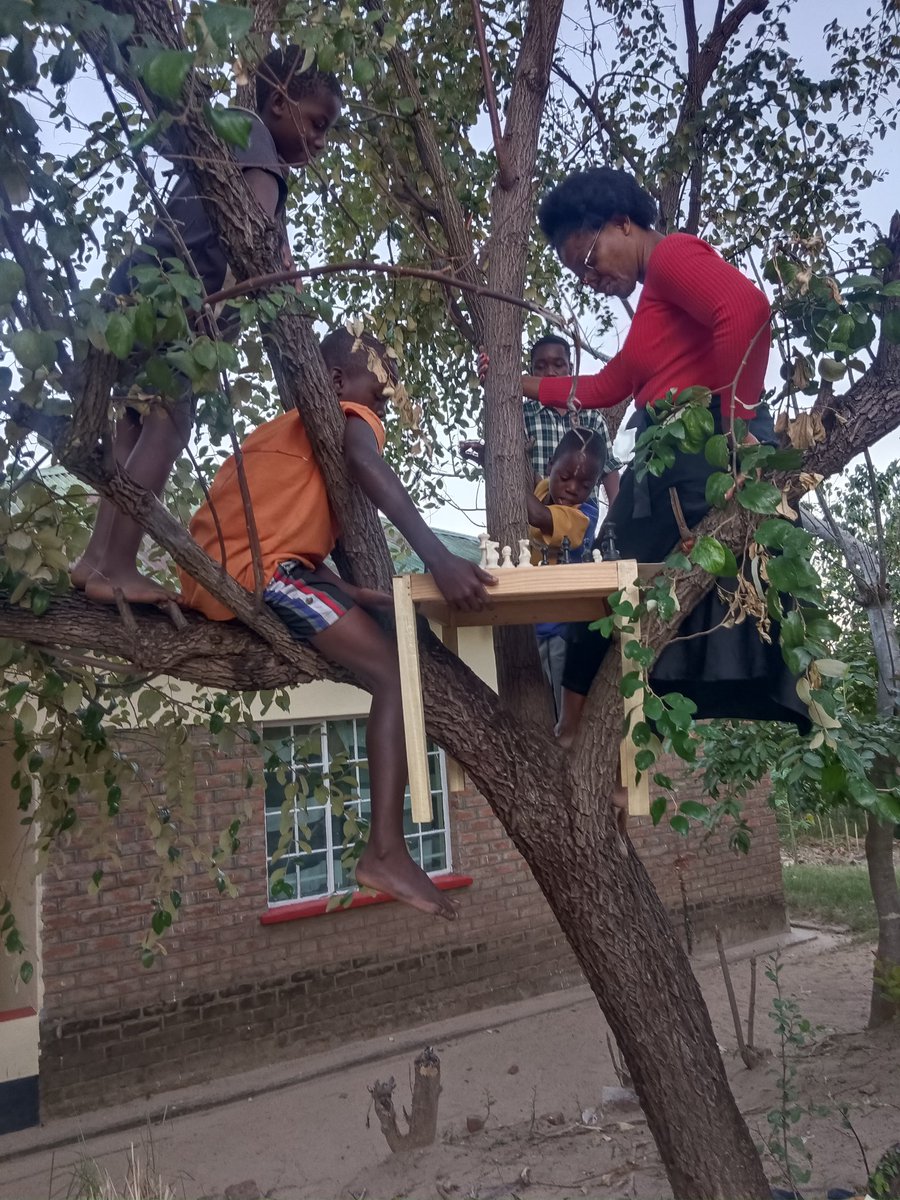 Susan Namangale (@susan_goc) on Twitter photo One day I found my chess kids playing chess in a tree and I was surprised how this was possible and I decided to join them ......thats the beauty of chess ..all you need is a chess set and you can choose to play from anywhere ...thank you <a href="/thegiftofchess/">The Gift of Chess</a> of making chess sets One day I found my chess kids playing chess in a tree and I was surprised how this was possible and I decided to join them ......thats the beauty of chess ..all you need is a chess set and you can choose to play from anywhere ...thank you <a href="/thegiftofchess/">The Gift of Chess</a> of making chess sets