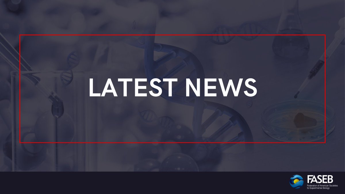 FASEBorg's tweet image. In a letter to the leaders of the House and Senate Appropriations Committees, FASEB urges them to reject the unprecedented cuts in NIH and NSF funding that were proposed in the administration's FY 2026 budget request. Read our letter: hubs.ly/Q03wTMQv0