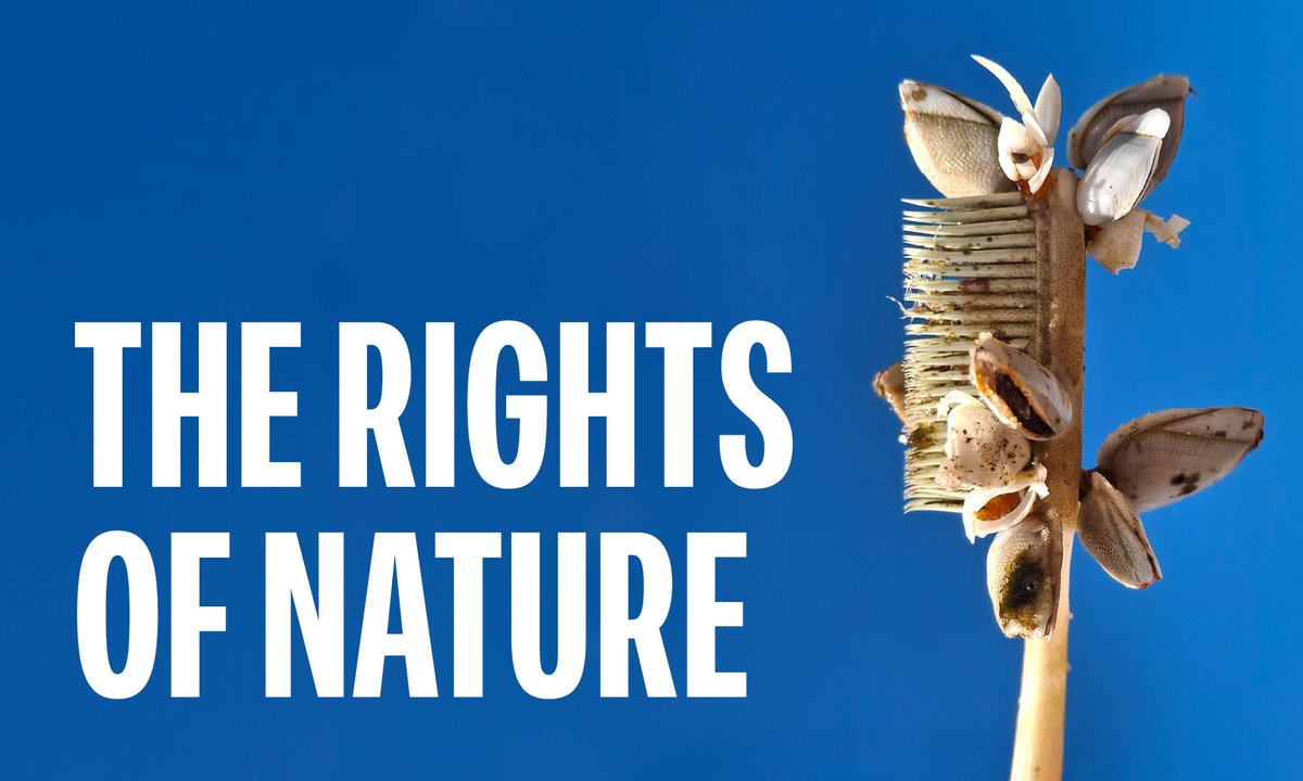 The new open-access journal Public Humanities invites submissions for the upcoming issue with the theme The Rights of Nature. The deadline for submissions is Dec 1, 2025. "We urgently need to change the way we relate to nature." cambridge.org/core/journals/…
