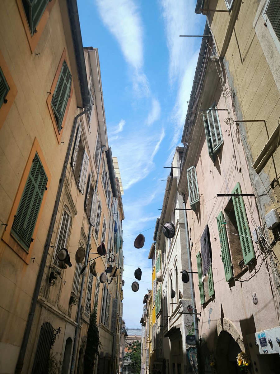 Dr. Paalmipedus 🦆 tweet media