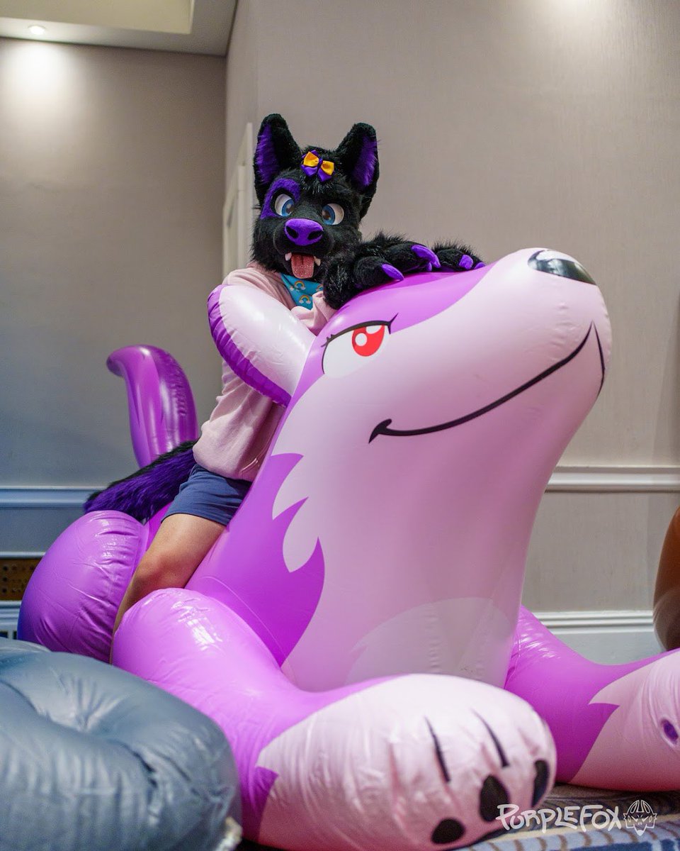 Having a fun time over here, don’t mind me! 💜🐾