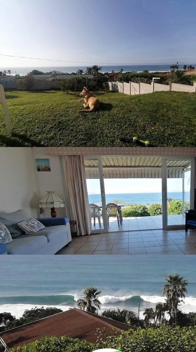 PryvateFigure's tweet photo. Escape to Dolphin View, a tranquil self-catering retreat on KZN's stunning South Coast. Stroll to the beach, soak up the sun!
Commission of inquiry
Nkota Mchunu Ndlozi #MarriedAtFirstSight Tirelo
#travel #vacation #airbnb #accommodation #travelingmode https://t.co/cDKN3MxDCL
