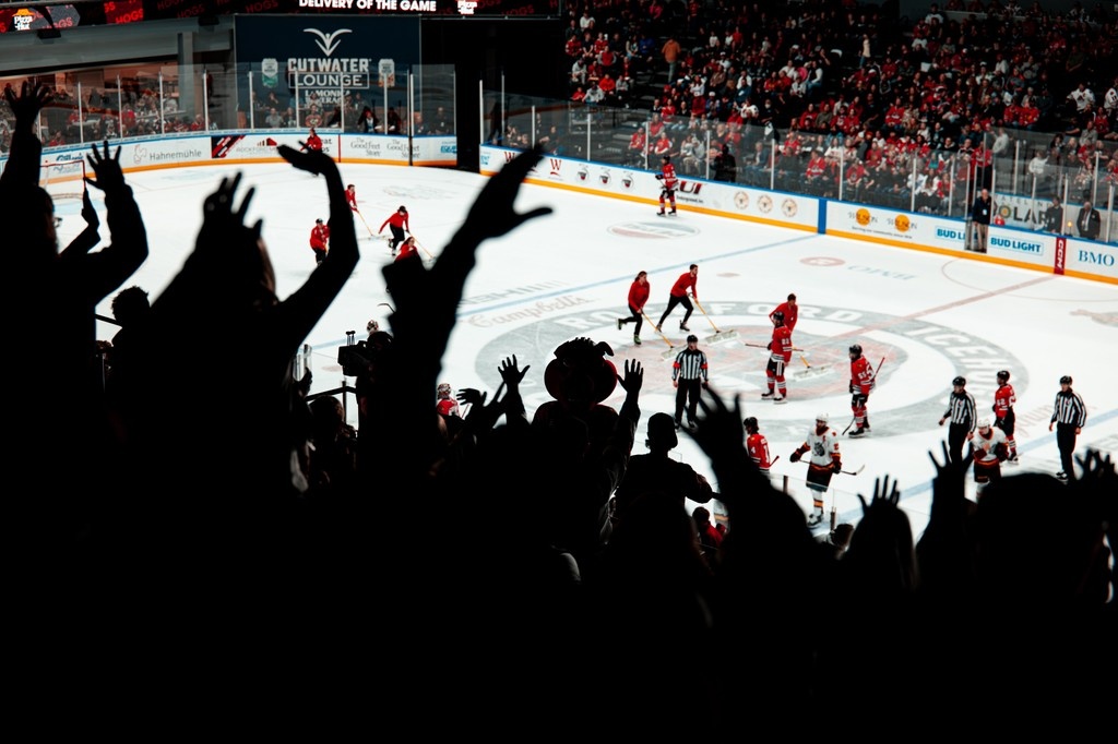 TheAHL's tweet image. Things we miss: You😔