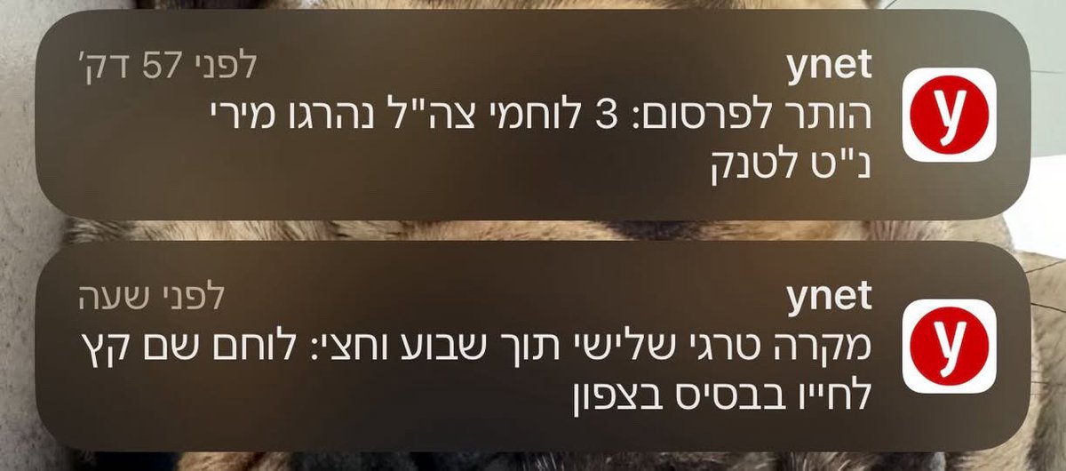 הלוחמים שלנו, ילחמו, יסגרו את העסקים שלהם, יפרקו את הנישואים, חלילה ימותו בקרב.
ביקום מקביל ישב ביבי נתניהו וישכנע את החרדים שזה הסעיף האחרון שיבטיח את ההשתמטות שלהם - ישראל 2025.