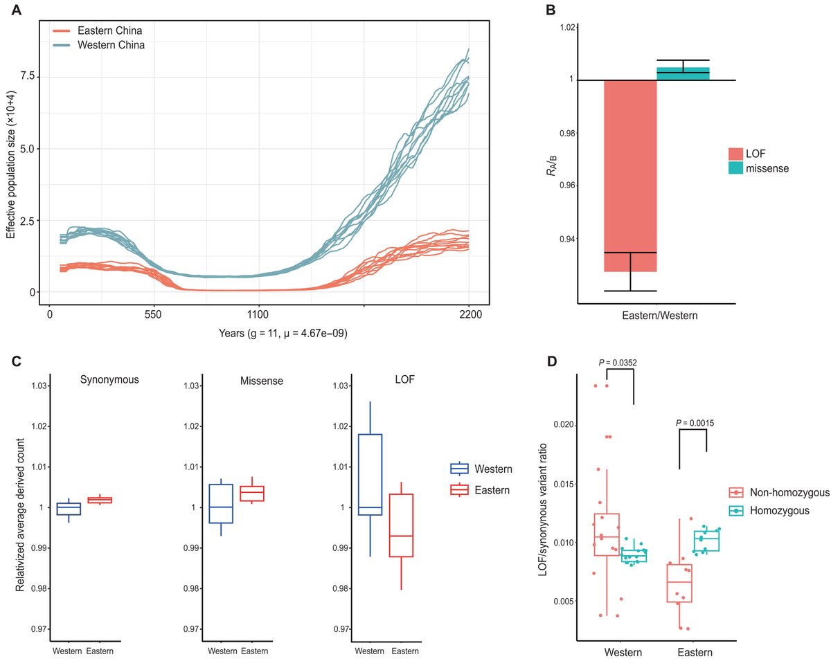 ScienceAdvances's tweet image. Severe climate-related population bottlenecks substantially harm Tibetan macaques’ potential to adapt to and withstand future climate volatility, a new study confirms. scim.ag/44nRjHe